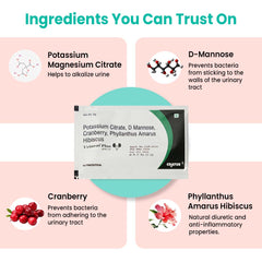 Urineat Plus (5g per Sachets)