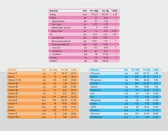 Protosure DM – Diabetic Nutrition Support | High Fiber & Whey Protein | 400g Vanilla Flavor | Plant Based