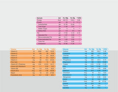 Protosure Peptide – ICU Patient Nutrition | 100% Peptide-Based & Vegetarian | With Probiotics for Gut Health | Plant Based