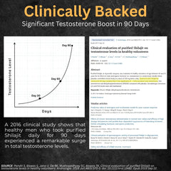 Shilajit Kesari | 70% Fulvic Acid | Supports Stamina & Performance - Buy 1 Get 1