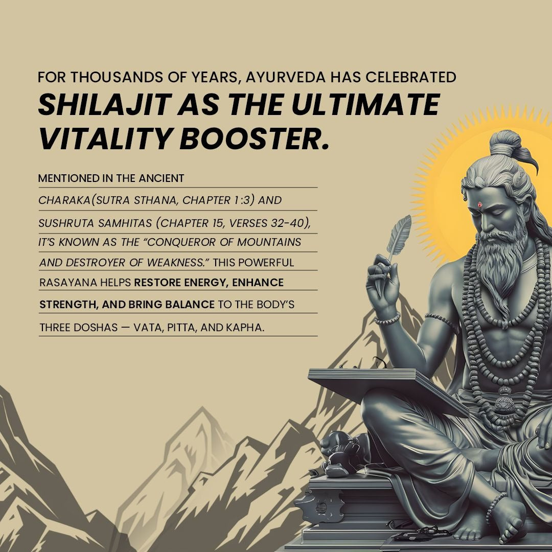 Shilajit Kesari | 70% Fulvic Acid | Supports Stamina & Performance - Buy 1 Get 1