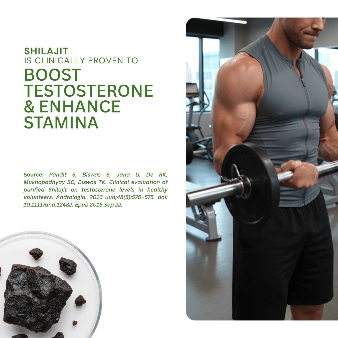 Shilajit Kesari | 70% Fulvic Acid | Supports Stamina & Performance