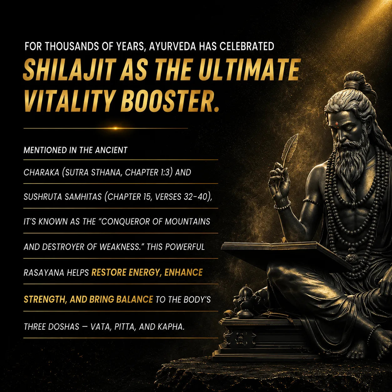 Shilajit Kesari | 70% Fulvic Acid | Supports Stamina & Performance