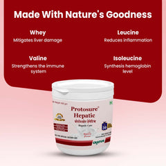 Protosure Hepatic - 400g - Premium 100% Whey Protein Powder for Ultimate Nutrition.